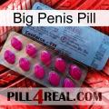 Big Penis Pill 35